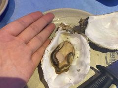 -千岛蚝高压锅生蚝·人参火锅(白云万达店)