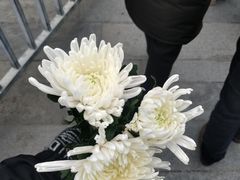 -侵华日军南京大屠杀遇难同胞纪念馆