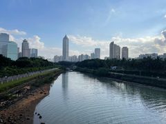 -万绿园