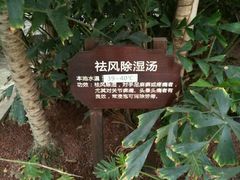 -龙达温泉生态城