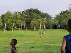 -宝安西湾红树林湿地公园