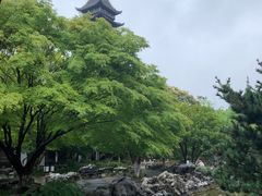 -常熟方塔园