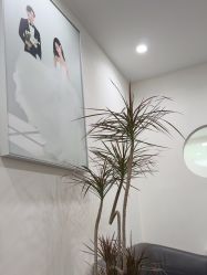 -北遇映画PHOTO GRAPHY STUDIO