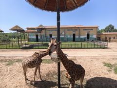 -鄂尔多斯野生动物园