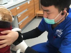 -宠福鑫动物医院·动物疾病诊疗中心(天通苑店)