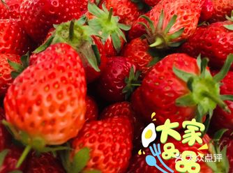 建议大家骑自行车去 可以锻炼身体也可以欣赏风景
