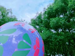-嘉北郊野公园
