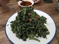 炝拌灰灰菜-海富荣·锅贴·陕菜家常菜(阳光城店)