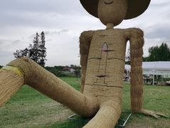-嘉北郊野公园