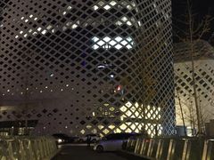 -国际青年会议酒店