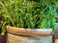 -牛村来人潮汕牛肉火锅(西单店)