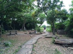 -东平洲海岸公园
