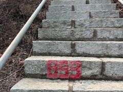 -金龙寺国家森林公园