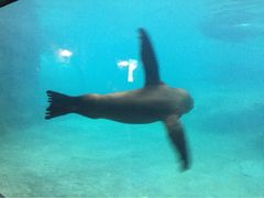 -广东省拱北口岸中国旅行社(华宾营业部)