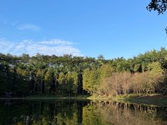 -华南师范大学(广州大学城校区)