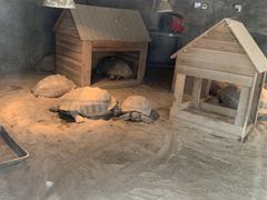 -杭州少年儿童公园