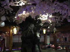 -汤乐汇•足道•SPA生活馆