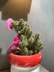 点击看大图 -东瀛造型