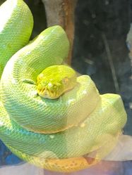 -Zoolung Zoolung动物主题公园(海信广场店)