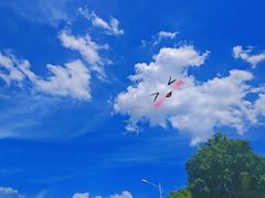 -长沙黑麋峰国家森林公园