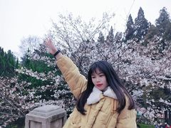 -武汉大学-樱园