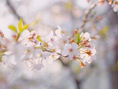 -新天地活力PARK