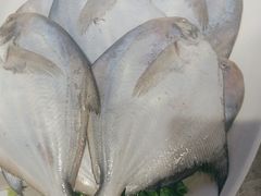 -77号渔船·蒸海鲜青岛菜(积米崖店)