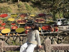 -楠溪江风景名胜区