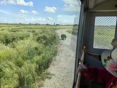 -黑瞎子岛探秘野熊园