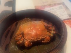 -新兴·金羊座·粤菜点心(乐峰店)