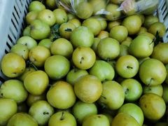 -黑河国家森林公园