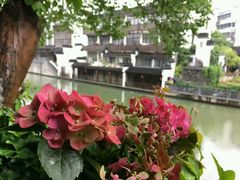 -南京夜泊秦淮君亭酒店·金陵书画院