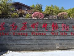 -青藏高原野生动物园