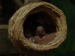 -Zoolung Zoolung动物主题公园(海信广场店)