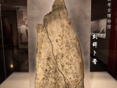 -北京大学赛克勒考古与艺术博物馆
