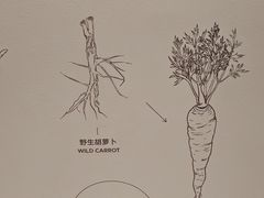 -上海科技馆(地铁站)