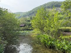 -金钉子远古世界景区