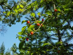 -艾溪湖湿地公园