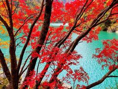 -叠溪松坪沟景区