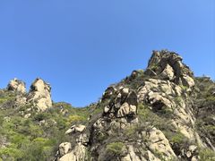 -大岭沟猕猴桃谷风景区