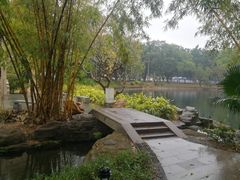 -晓港公园