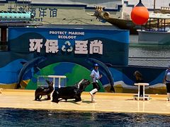 -秦皇岛乐岛海洋王国