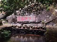 -雁荡山三折瀑景区