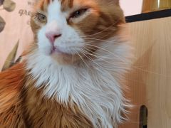-平行世界·猫咖(首经贸店)