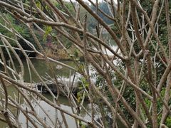 -云溪植物园