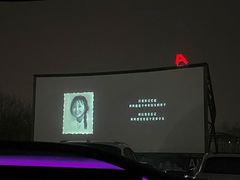 -枫花园汽车电影院(朝阳公园店)