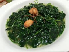 菠菜苗-陶陶居海鲜酒家(新马路店)