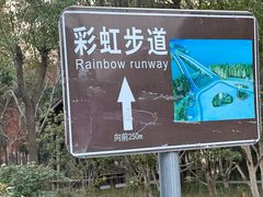 -贡湖湾湿地公园