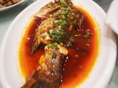 红烧鲈鱼-知音酒楼(花园店)
