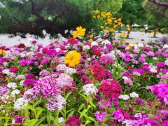 -云龙湖旅游景区